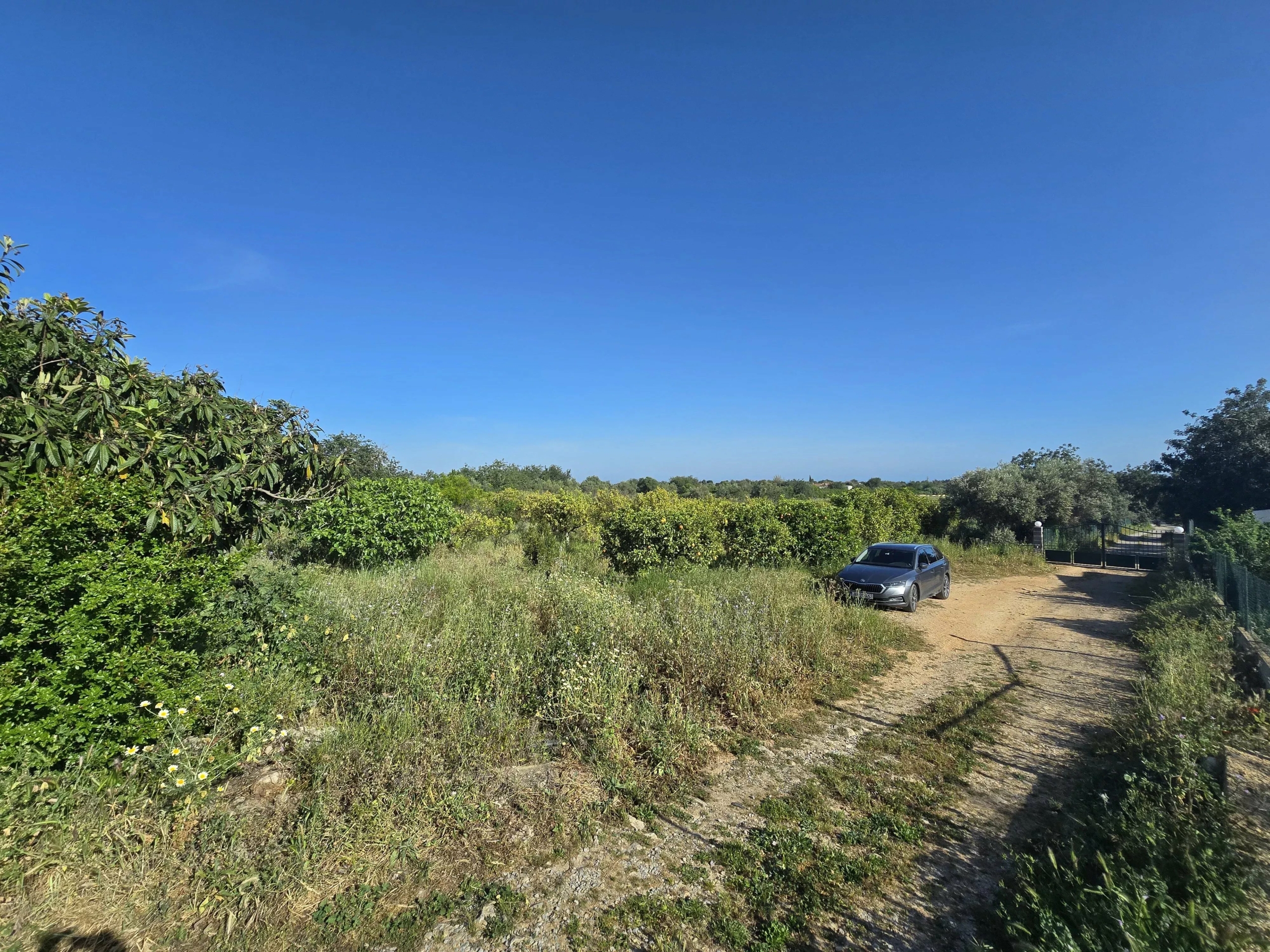 6 room Farmhouse with 1.5 hectares of land and sea view
