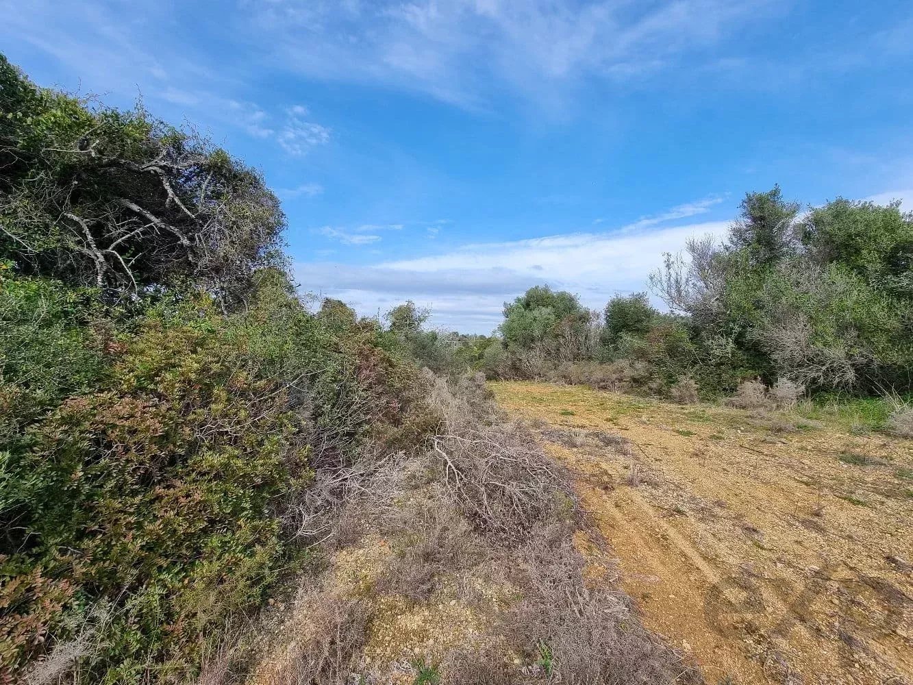 Rustic land – Bias do Sul