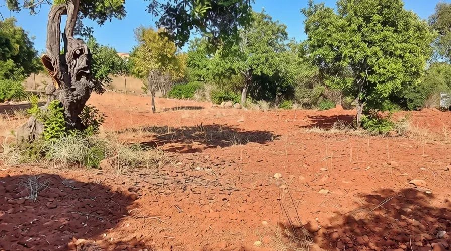 Rustic flat land with 4240 sqm in the Algarve