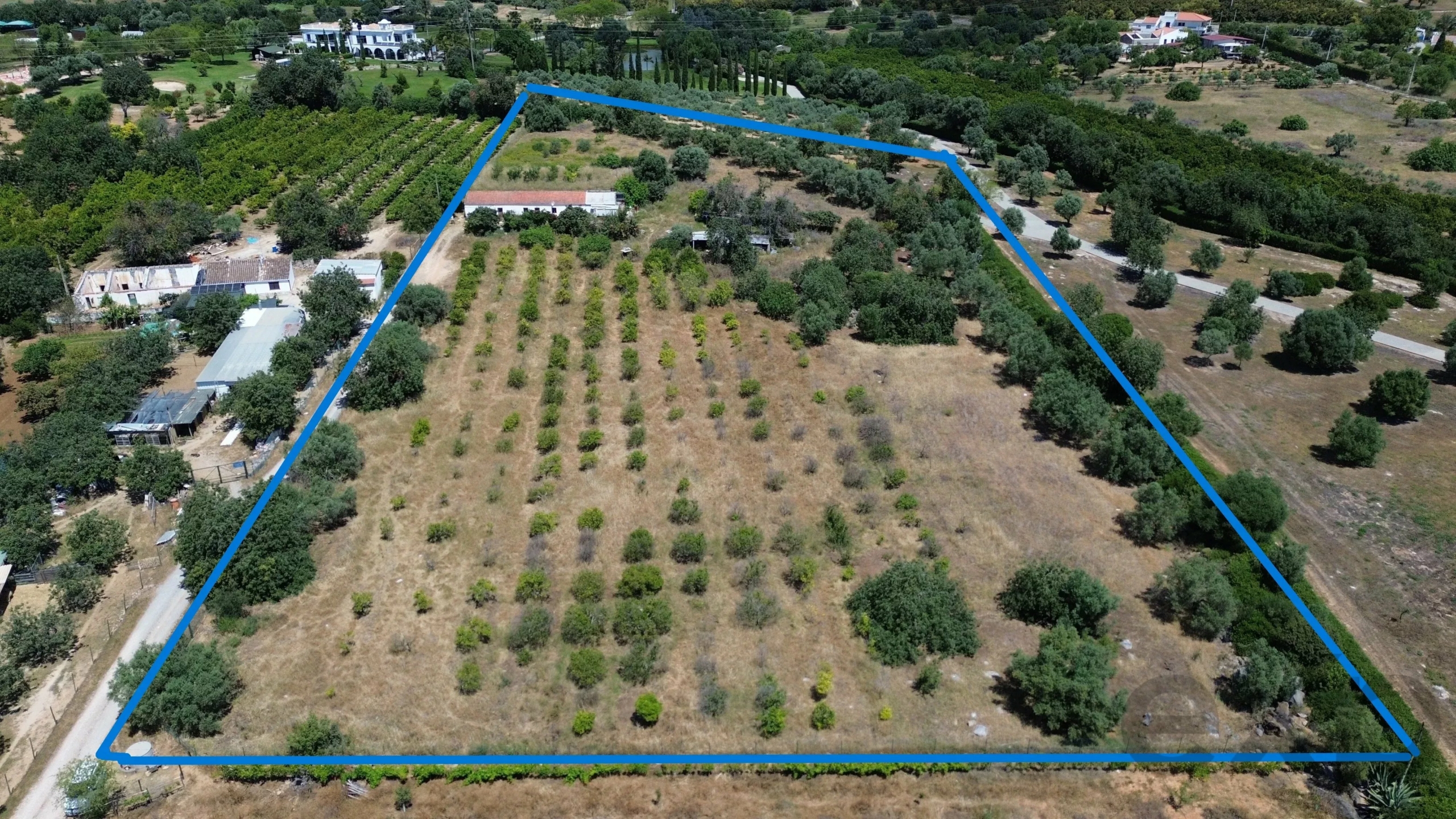 6 room Farmhouse with 1.5 hectares of land and sea view