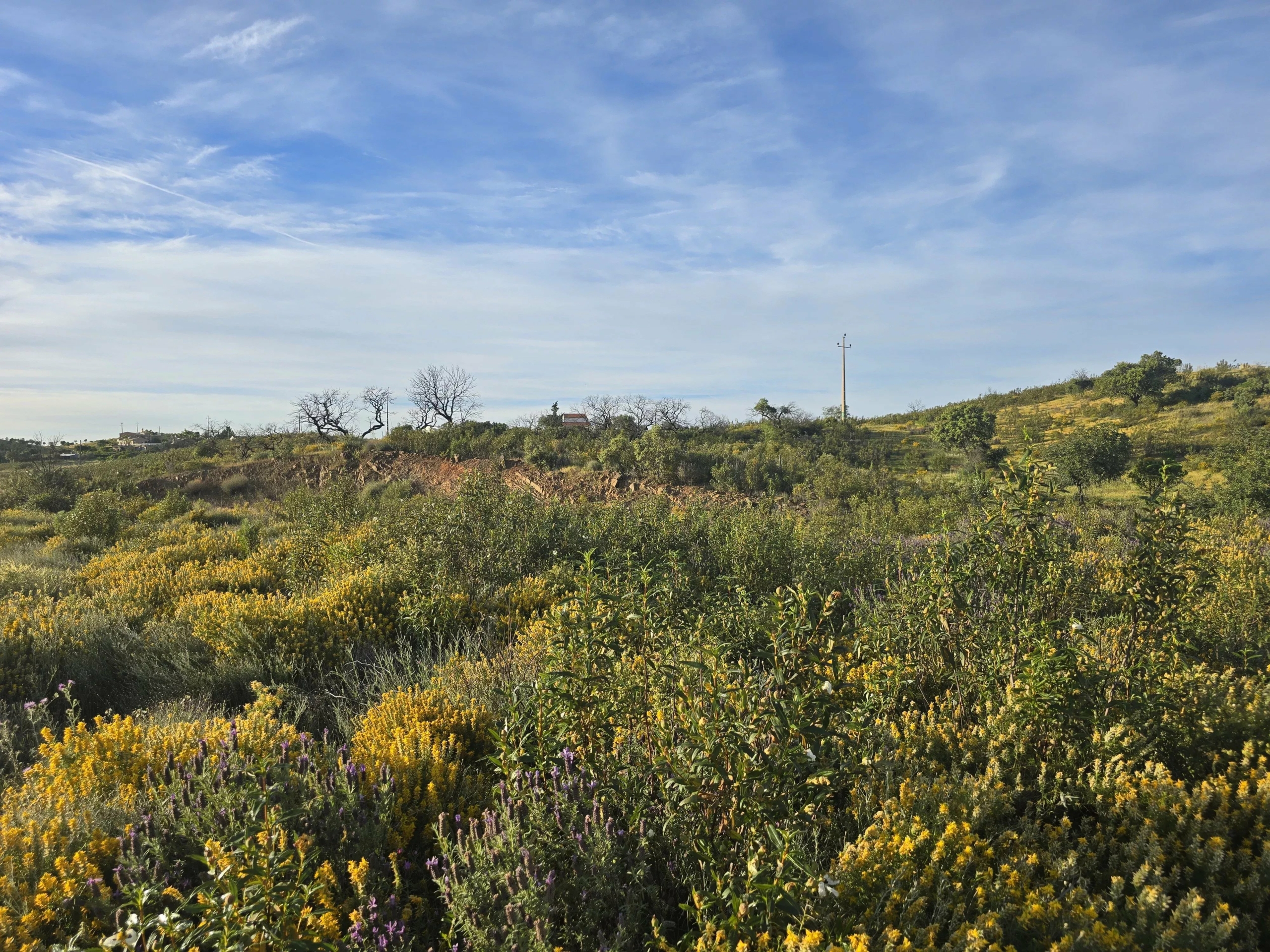 Rustic land Corte Antonio Martins with one hectare