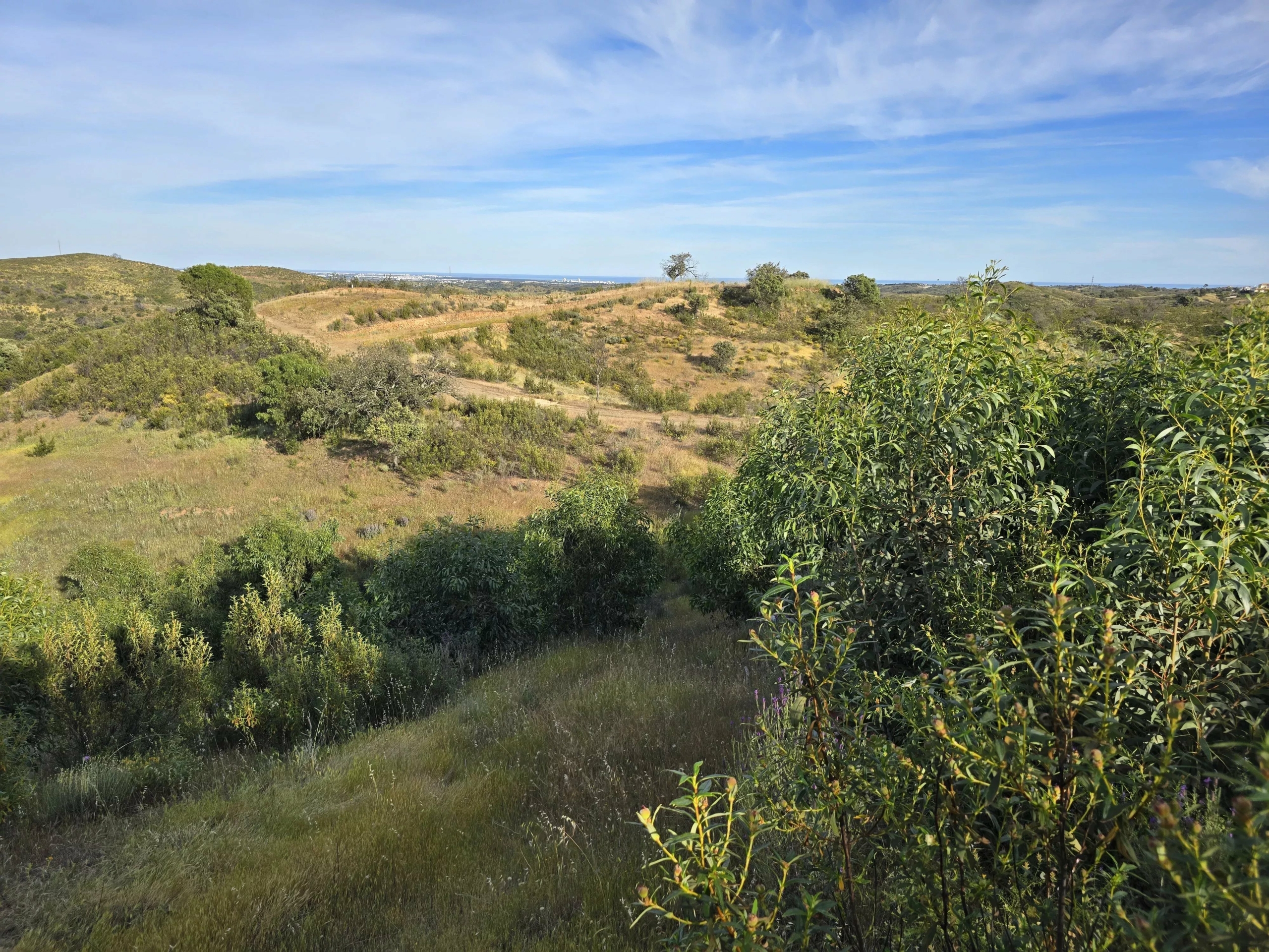 Rural land with sea view over one hectare
