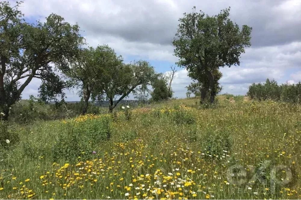 Außergewöhnliches Landgut von 65 ha im Alentejo mit touristischem Entwicklungspotenzial