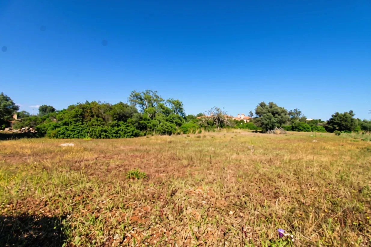 Two rustic flat plots of land, sold together, with 7120 m2