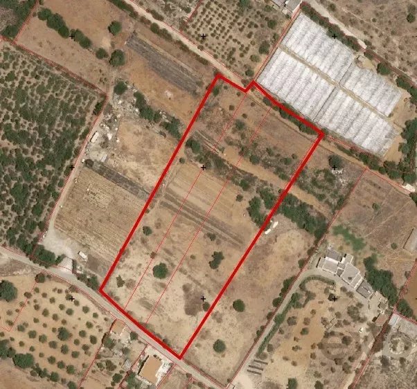 Rustic Land in Vale da Mó – Faro | 16,170 m²