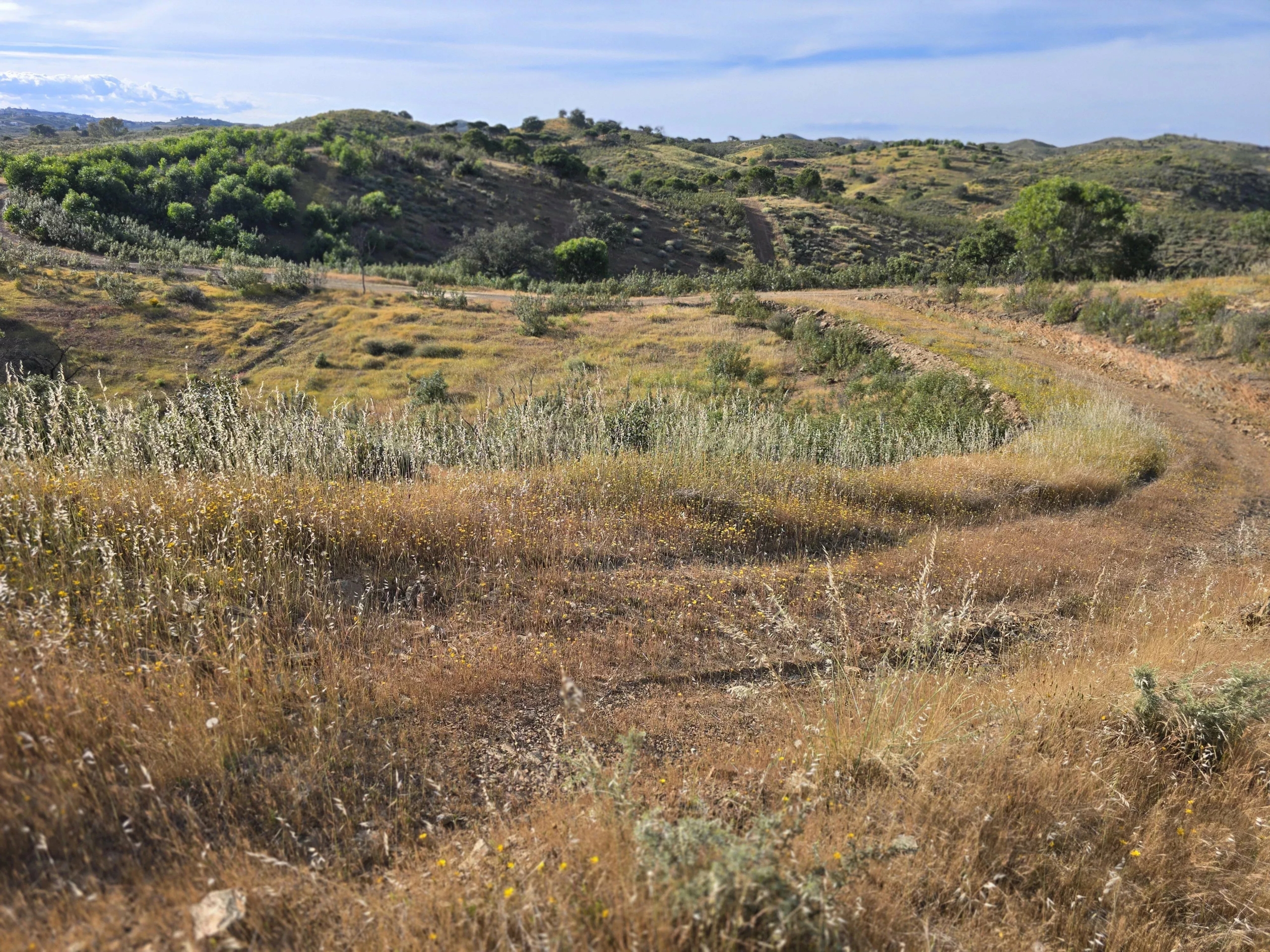 Rural land with sea view over one hectare