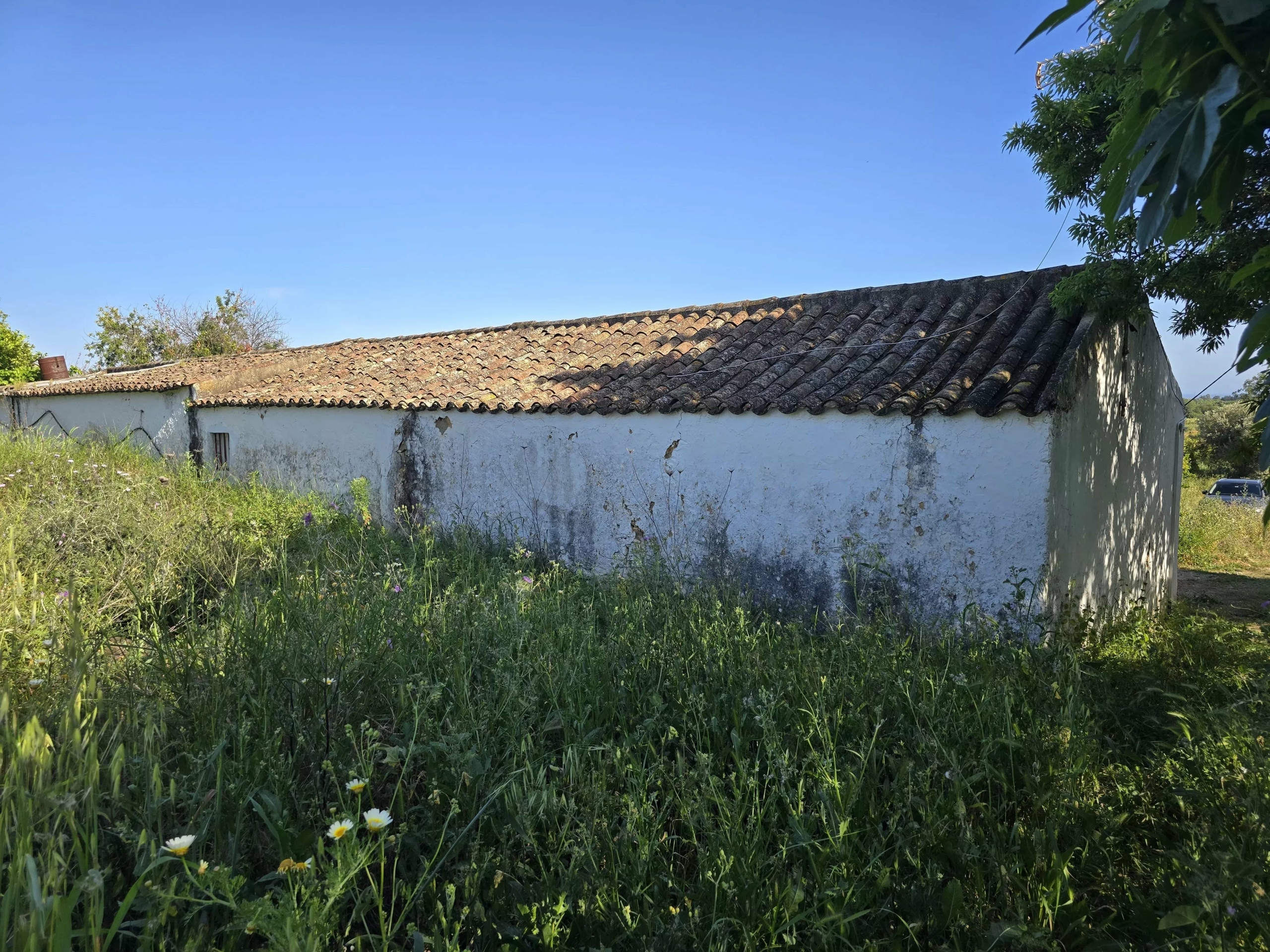 6 room Farmhouse with 1.5 hectares of land and sea view