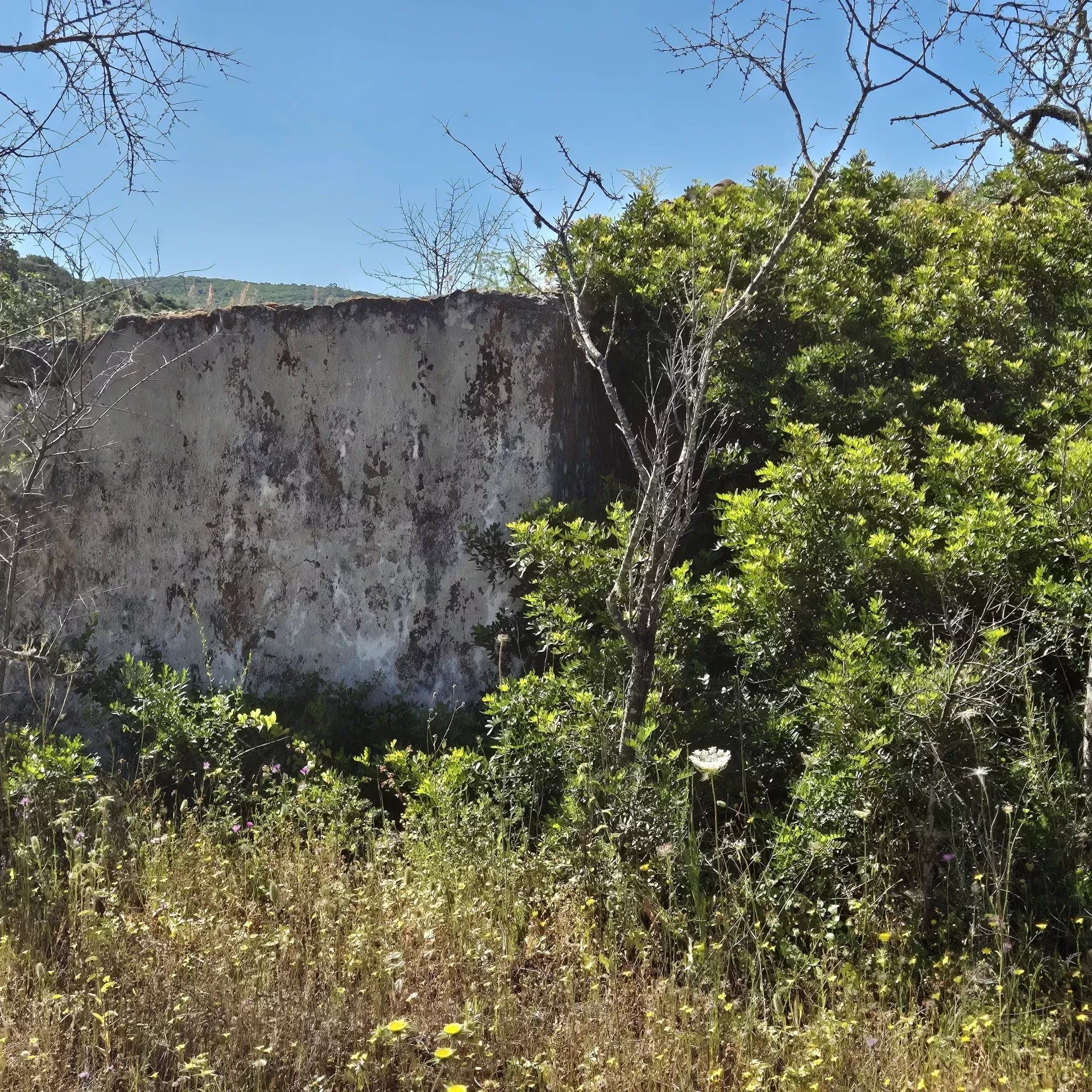 Terrain urbain avec ruine