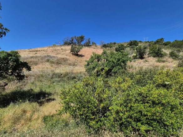 Rustic land in Montes e Lagares