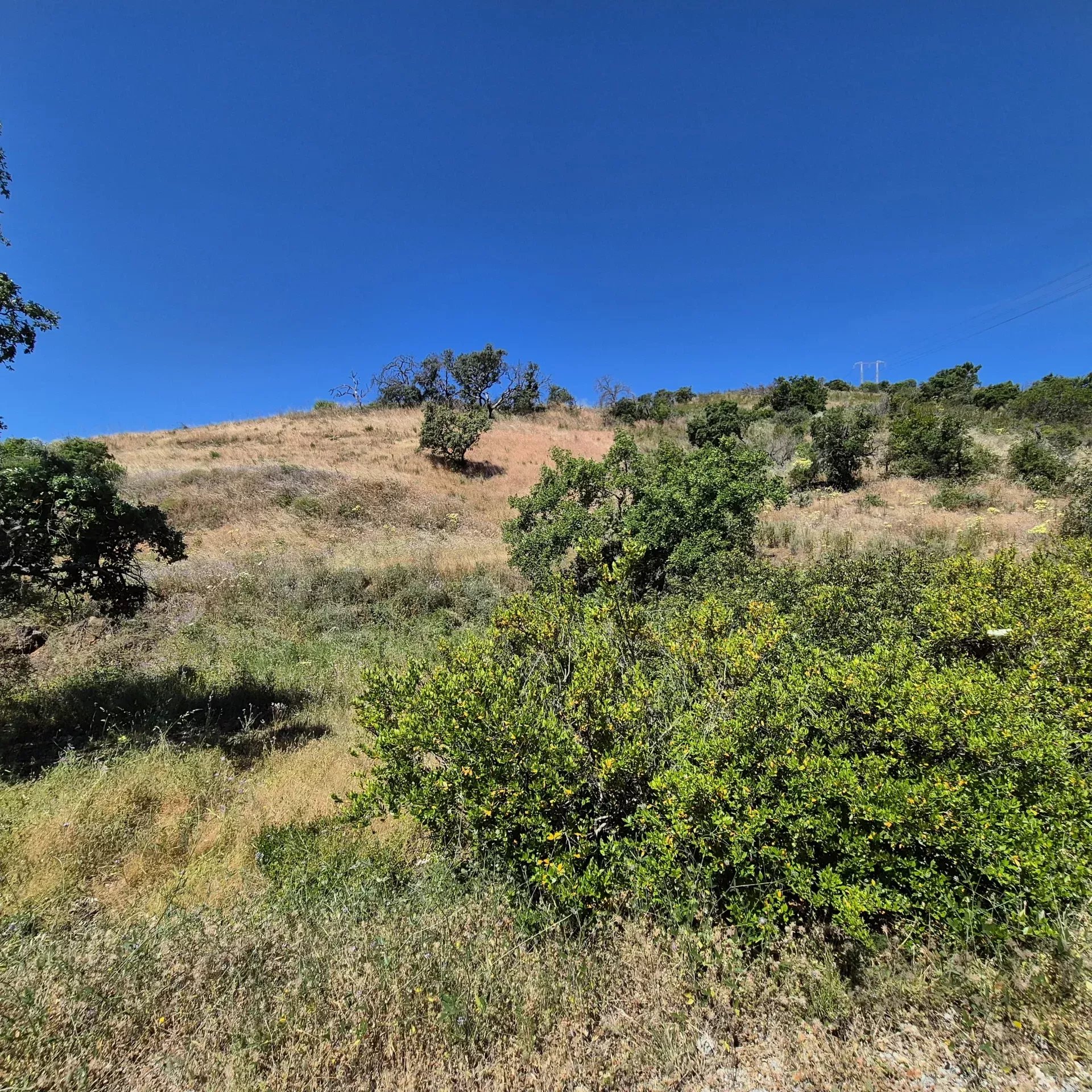 Rustic land in Montes e Lagares