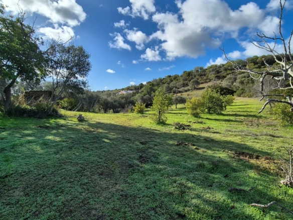 Rustic land in Amendoeira – Estoi