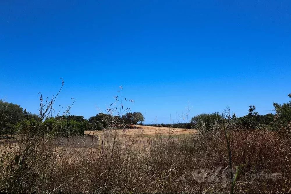 Unique Investment Opportunity: New Development in Faro, Algarve – Don’t miss out!