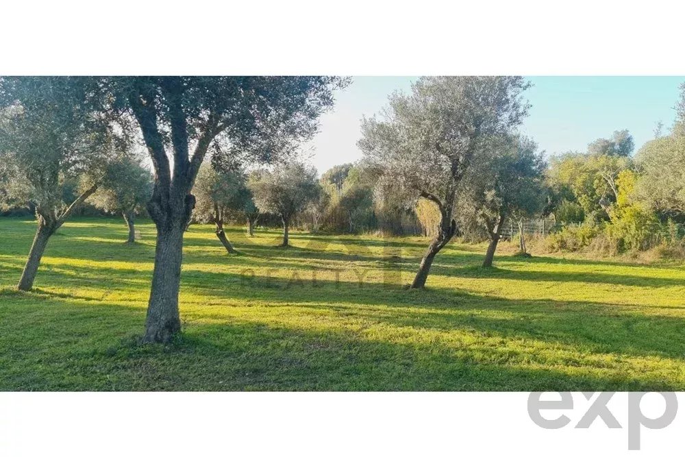 Buildable land with a ruin and an approved project