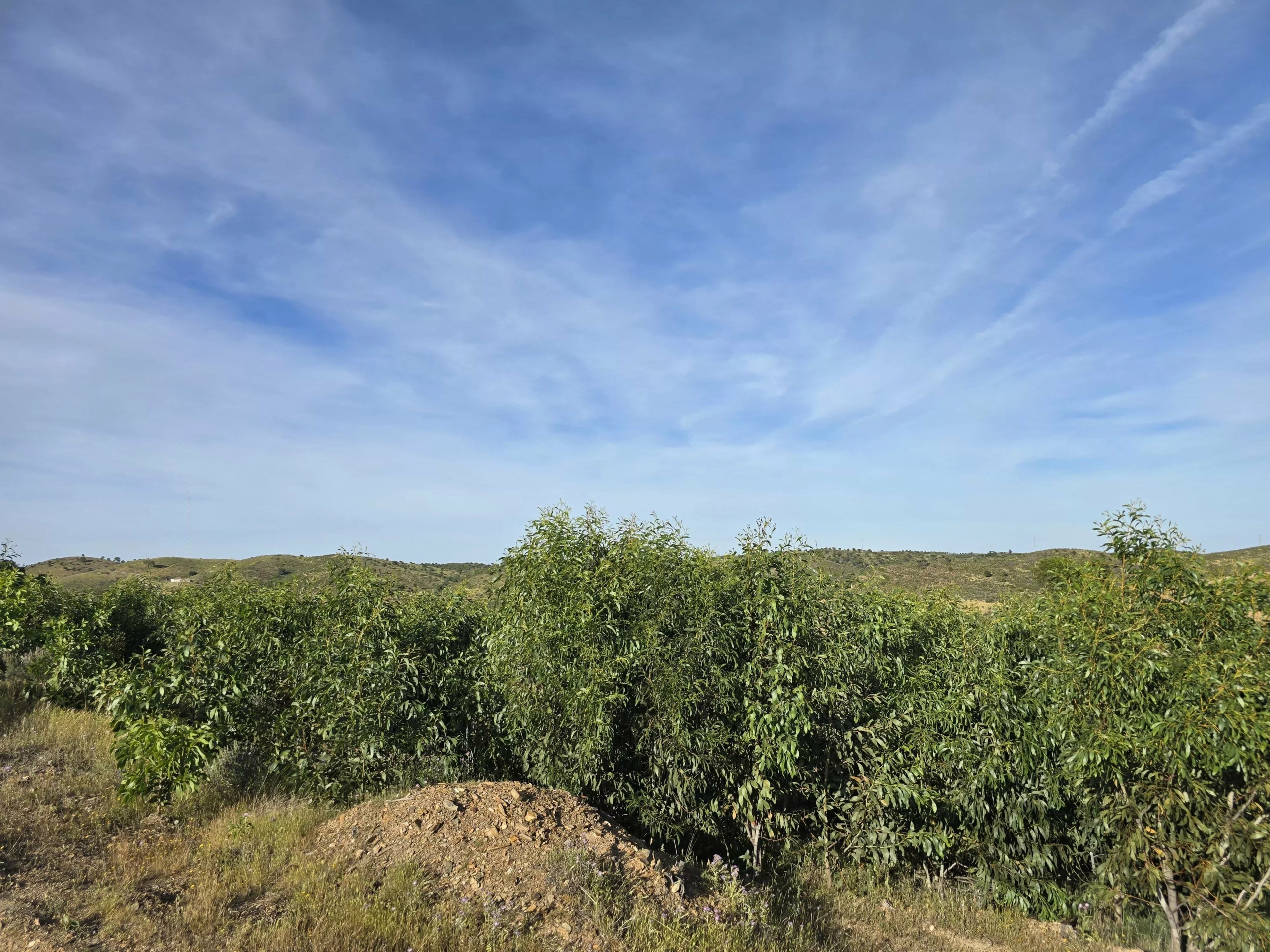 Rural land with sea view over one hectare