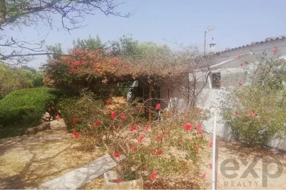 Farm for sale in Santa Margarida