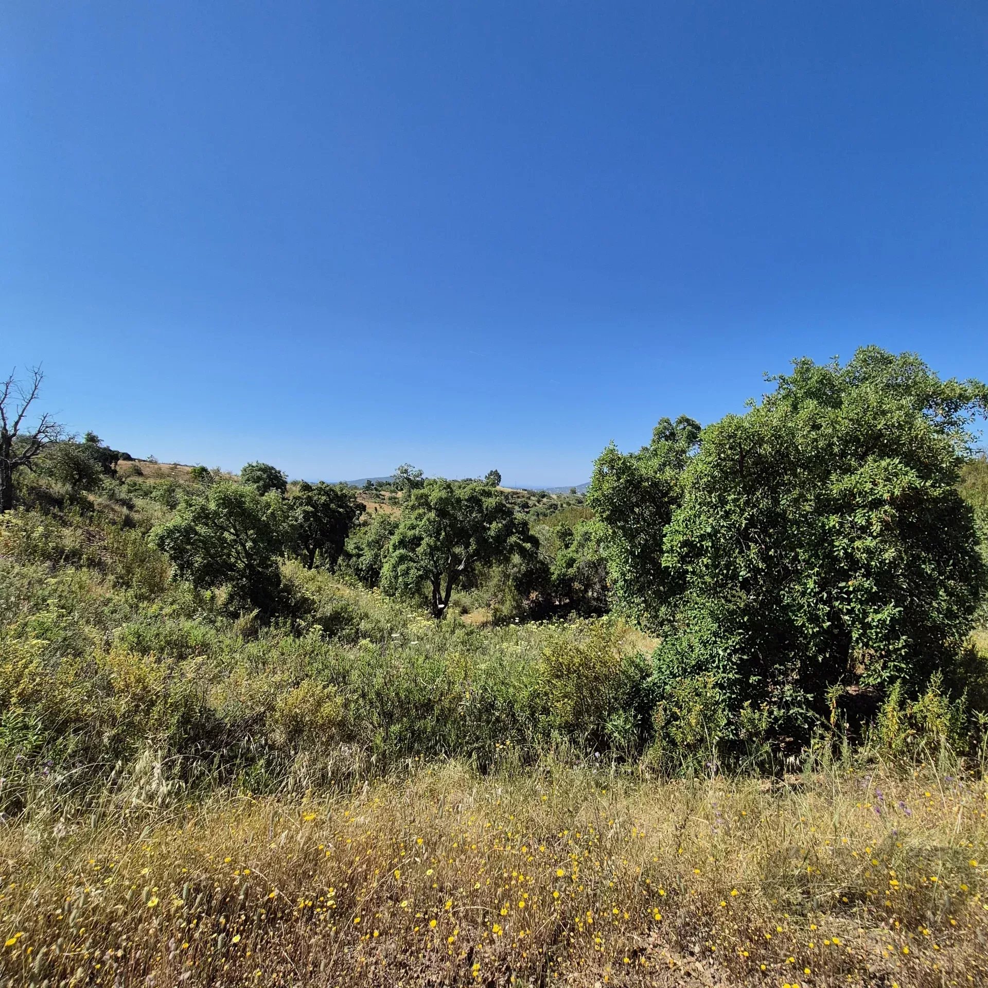 Rustic land in Alqueivinho