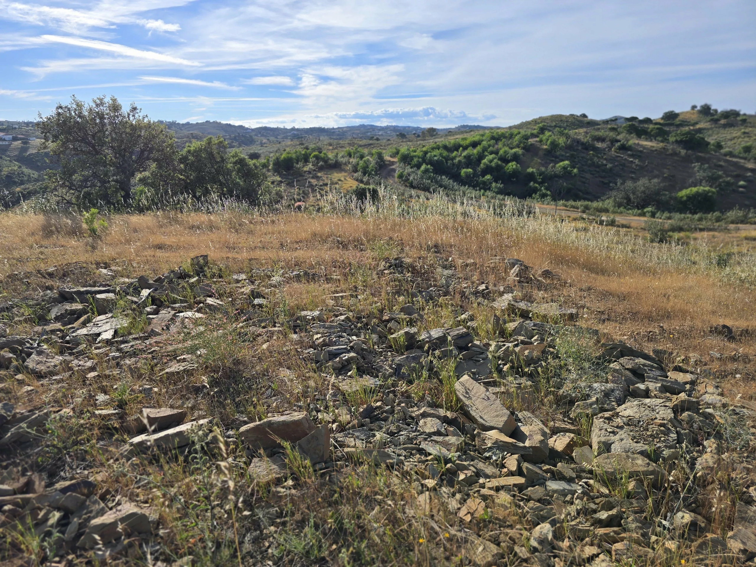 Rural land with sea view over one hectare