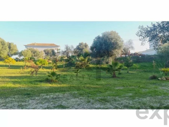 Buildable land with a ruin and an approved project