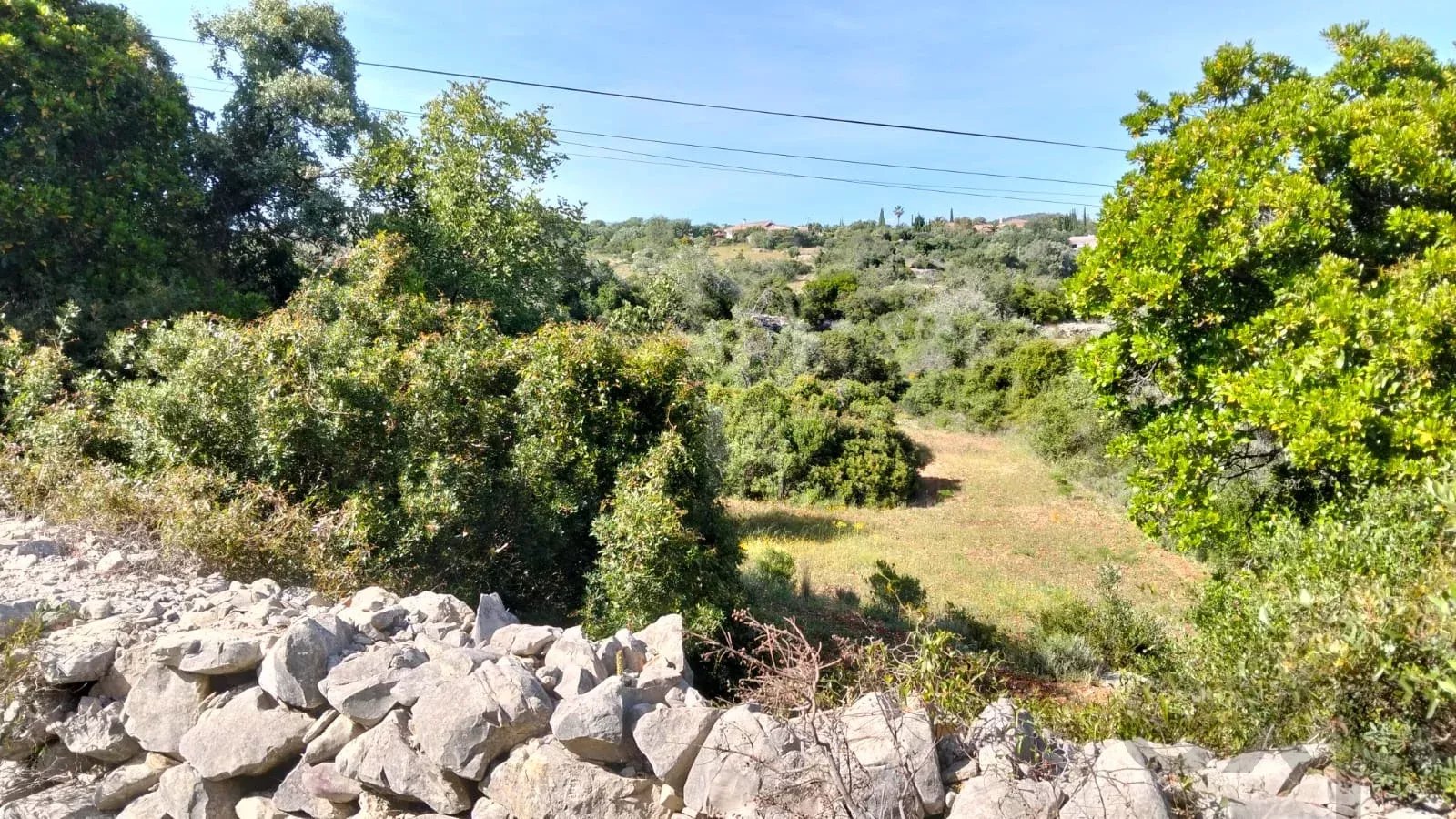 1560 m² Non-Constructible Land in Santa Bárbara de Nexe
