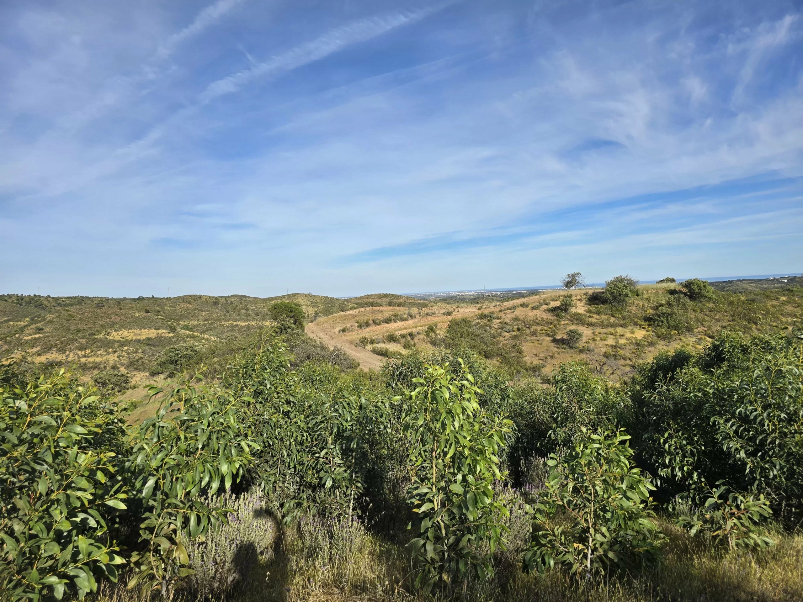 Rural land with sea view over one hectare