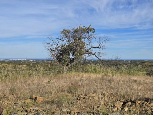 Rural land with sea view over one hectare