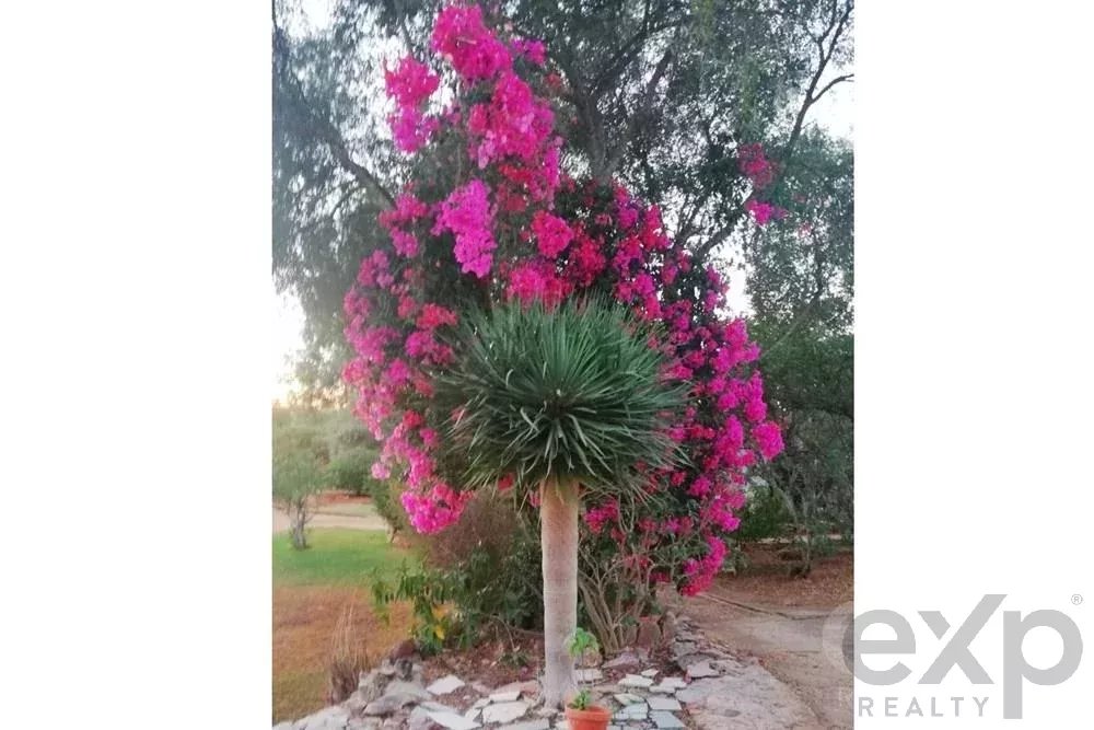 Farm for sale in Santa Margarida