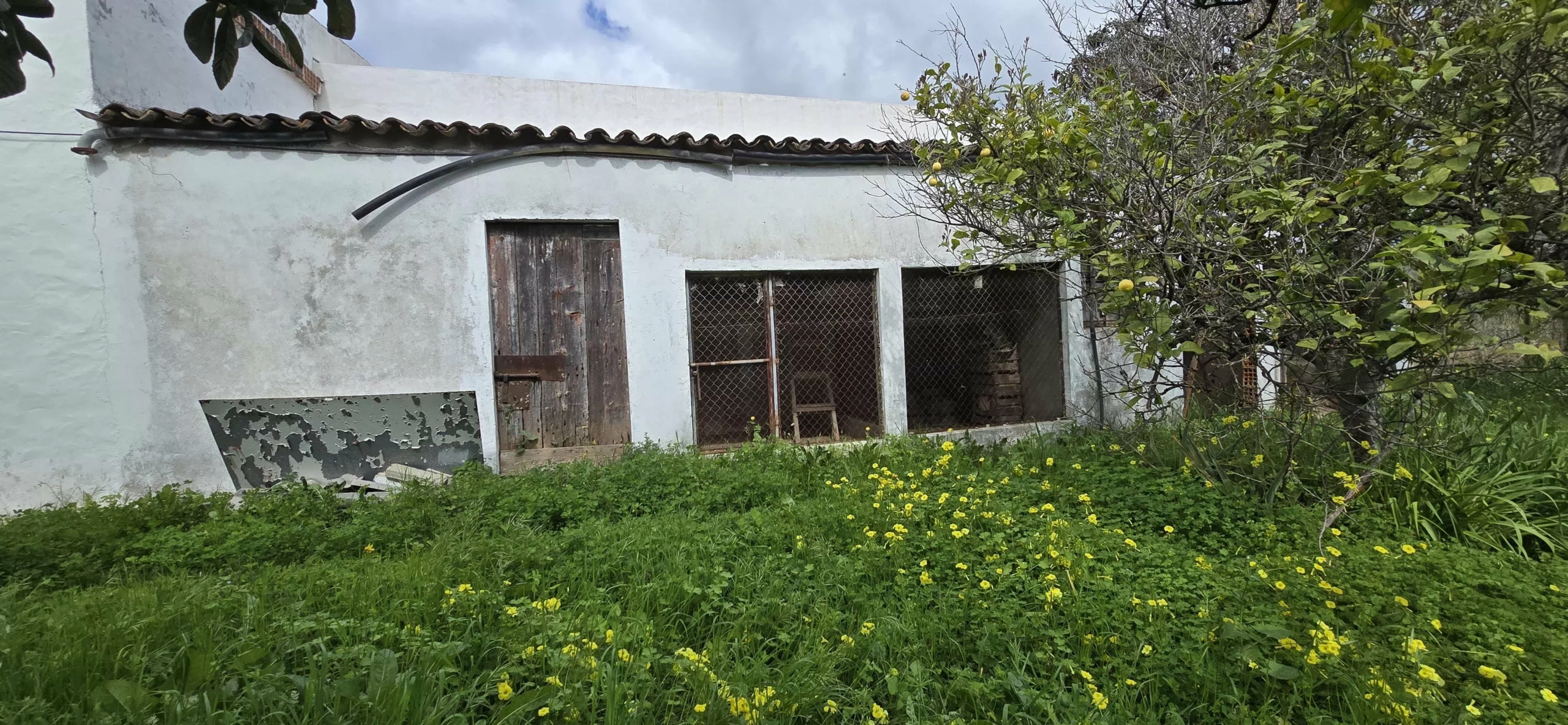 Ferme exclusive de 7.272 m², à proximité de la Ria Formosa – Potentiel unique à Tavira