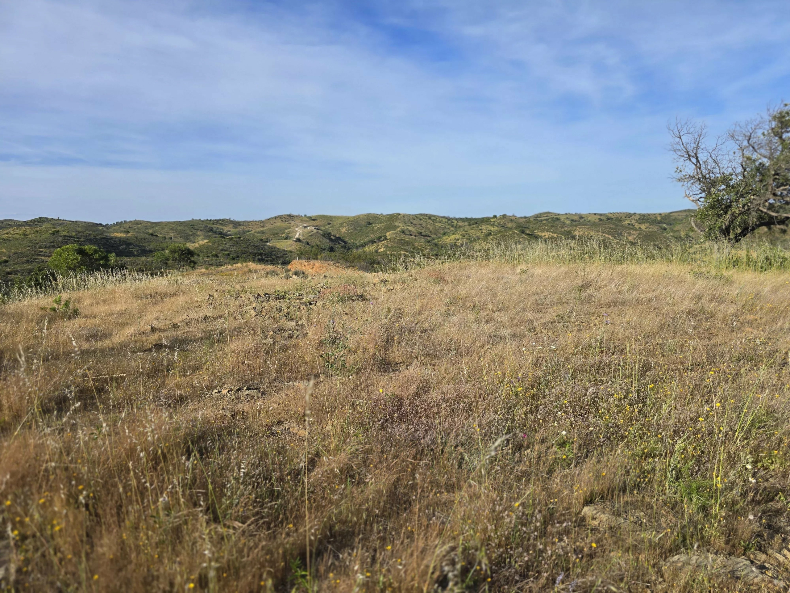 Rural land with sea view over one hectare