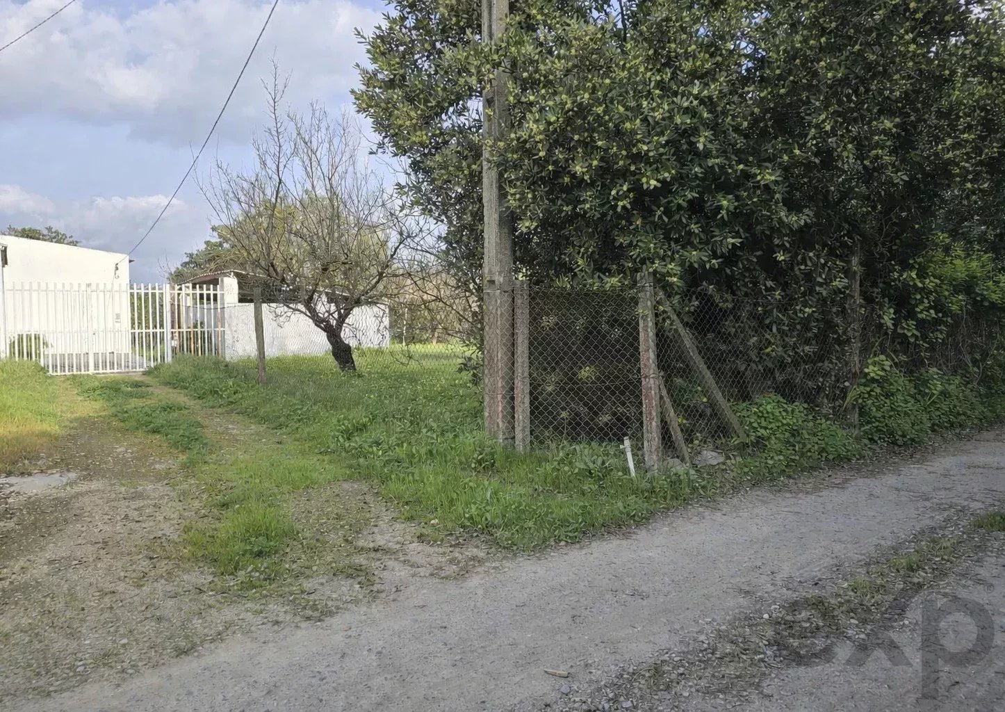 Ferme exclusive de 7.272 m², à proximité de la Ria Formosa – Potentiel unique à Tavira