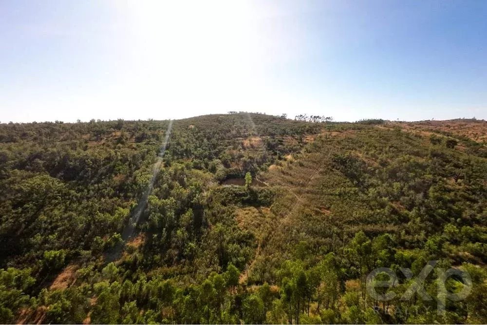 Außergewöhnliches Landgut von 65 ha im Alentejo mit touristischem Entwicklungspotenzial