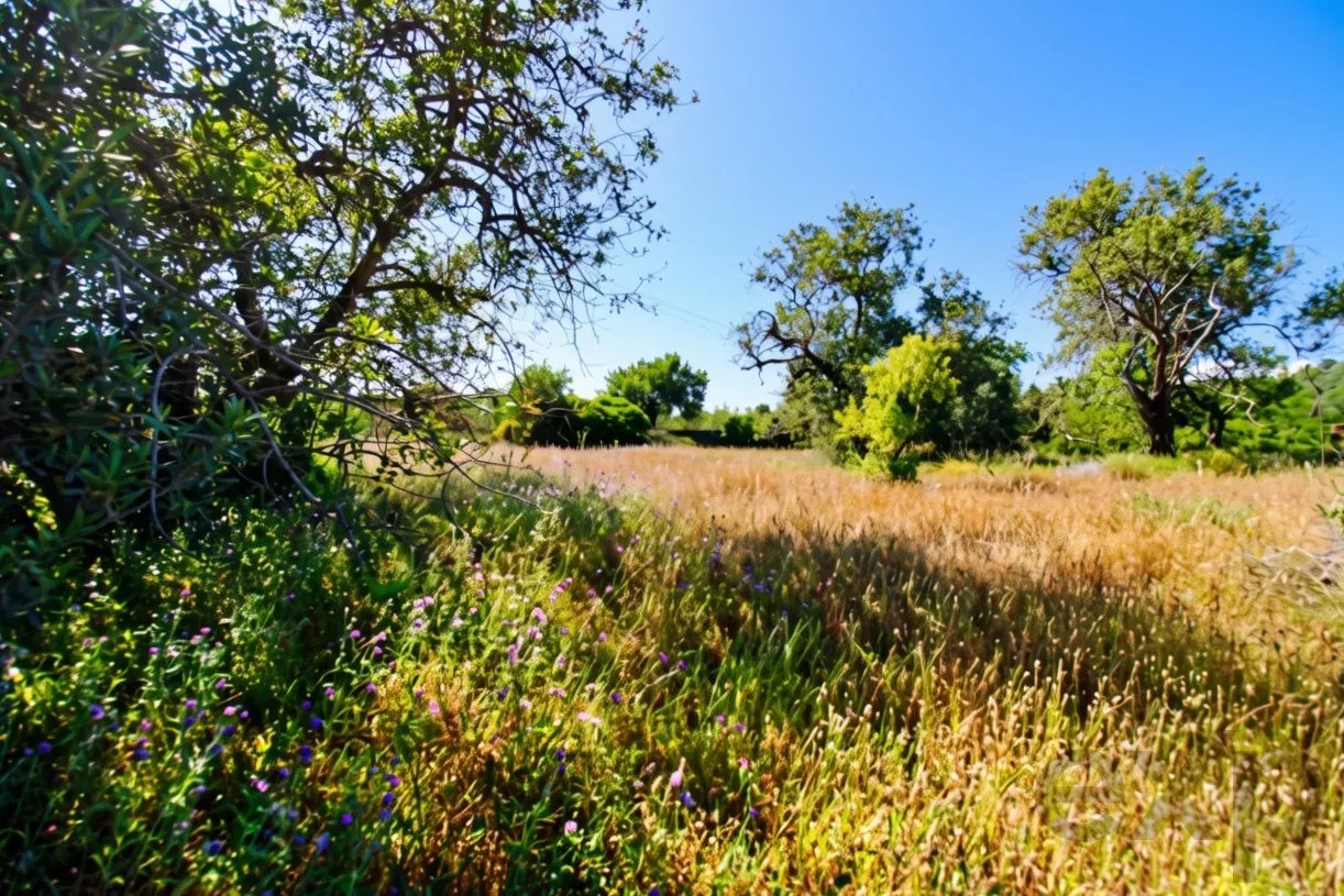 Rustic land of 5080 m2 for sale in Estoi, Faro