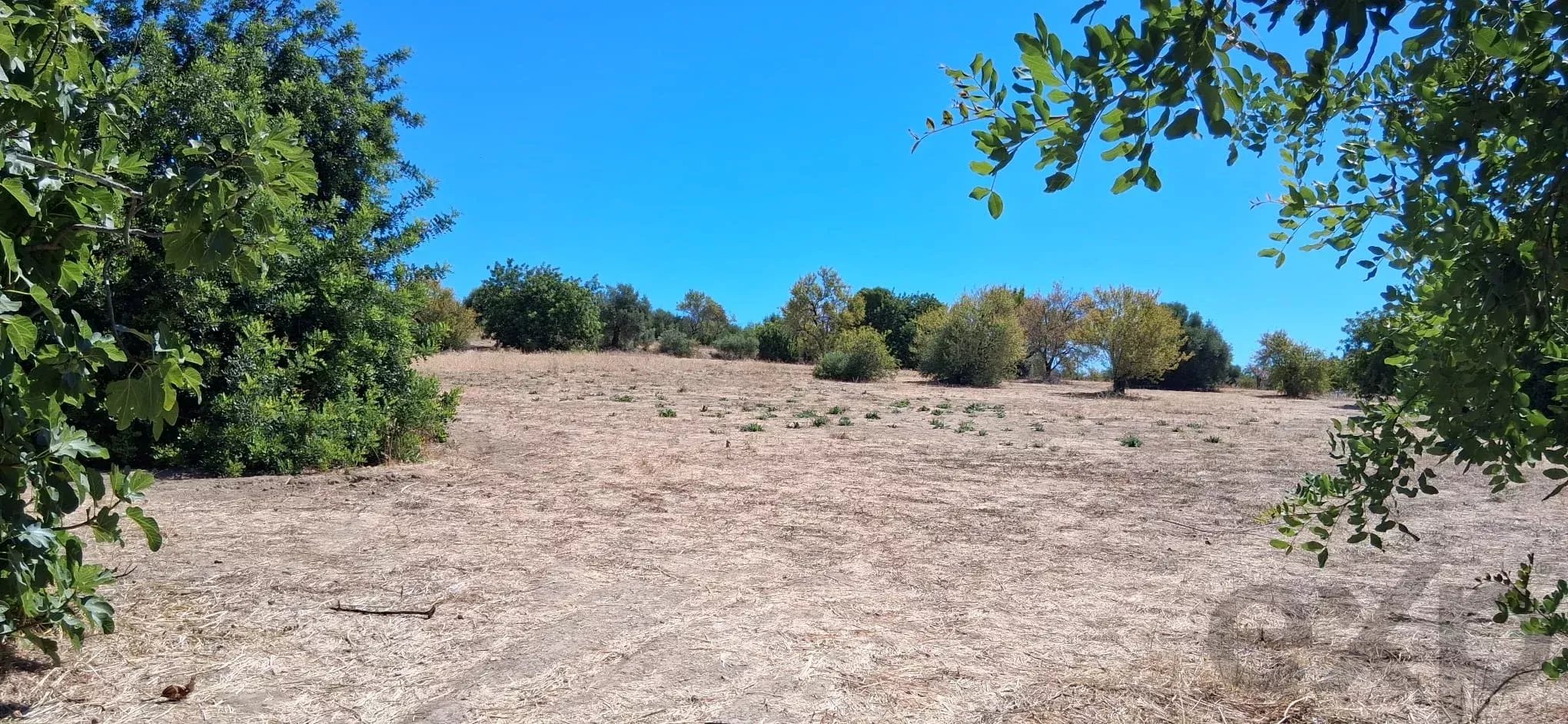 Terreno para Construção Urbana em Estiramantens, Tavira