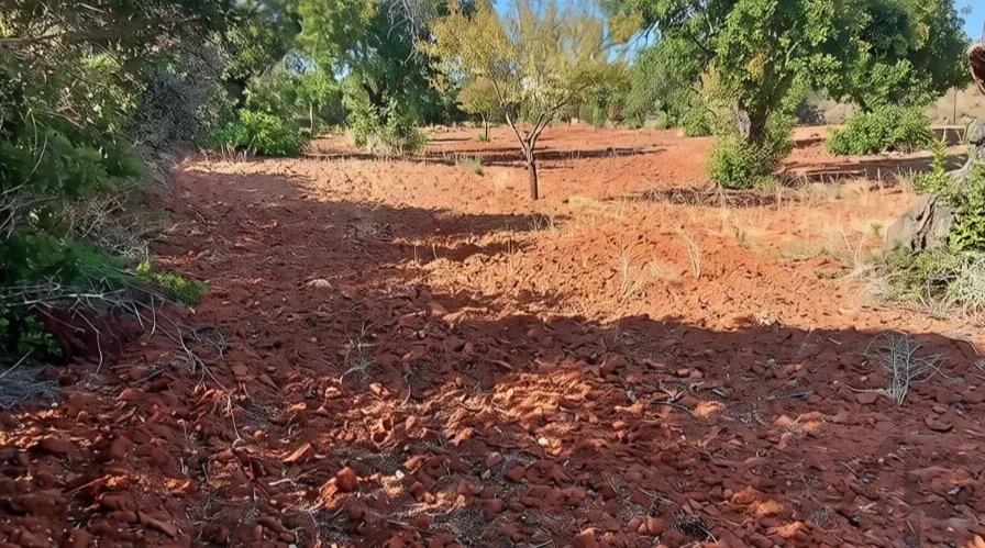 Rustic flat land with 4240 sqm in the Algarve