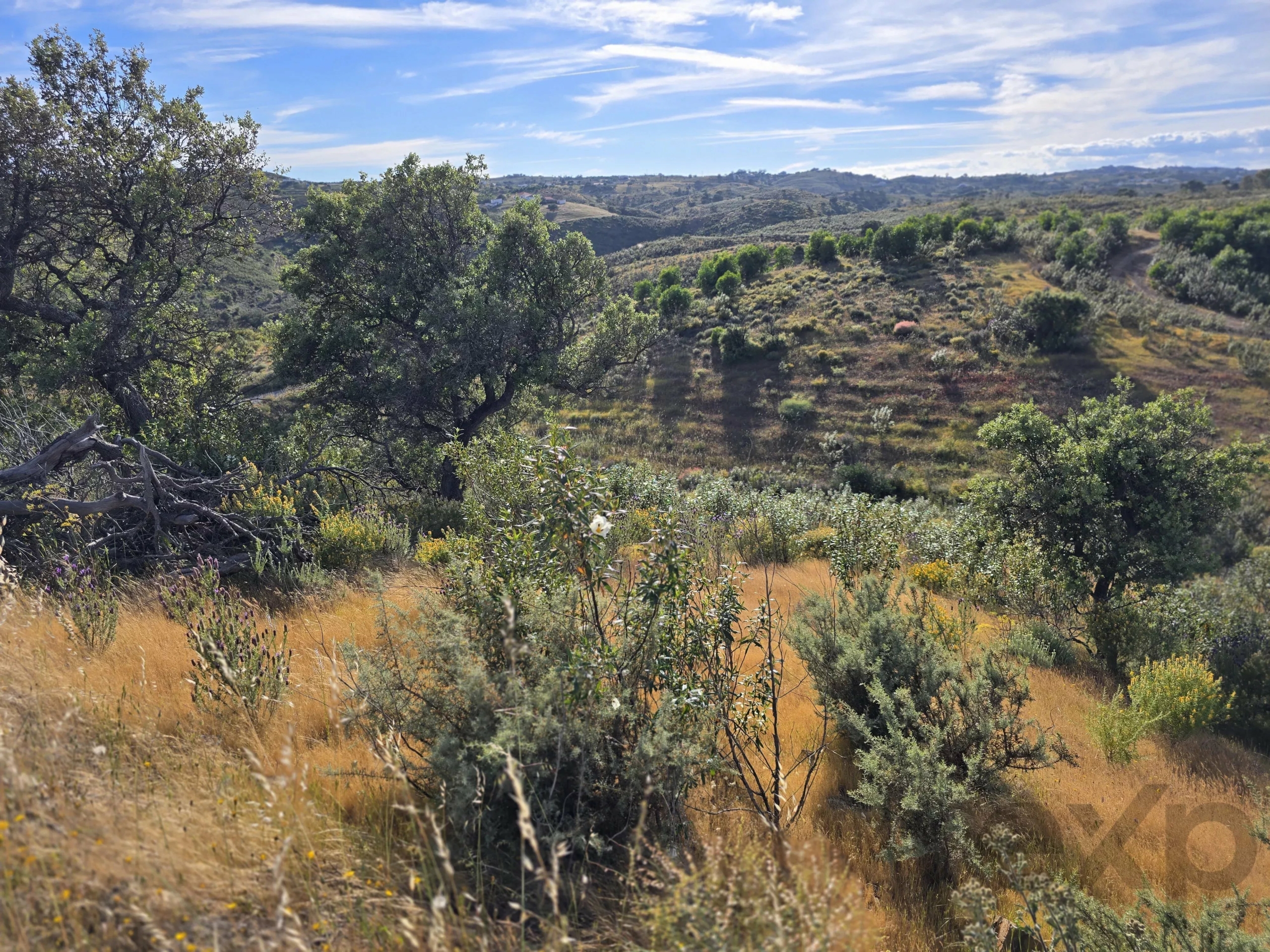 Rural land with sea view over one hectare