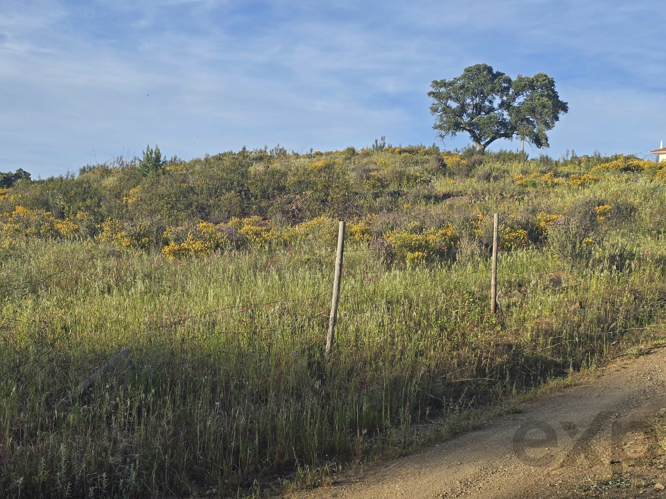 Rustic land Corte Antonio Martins with one hectare