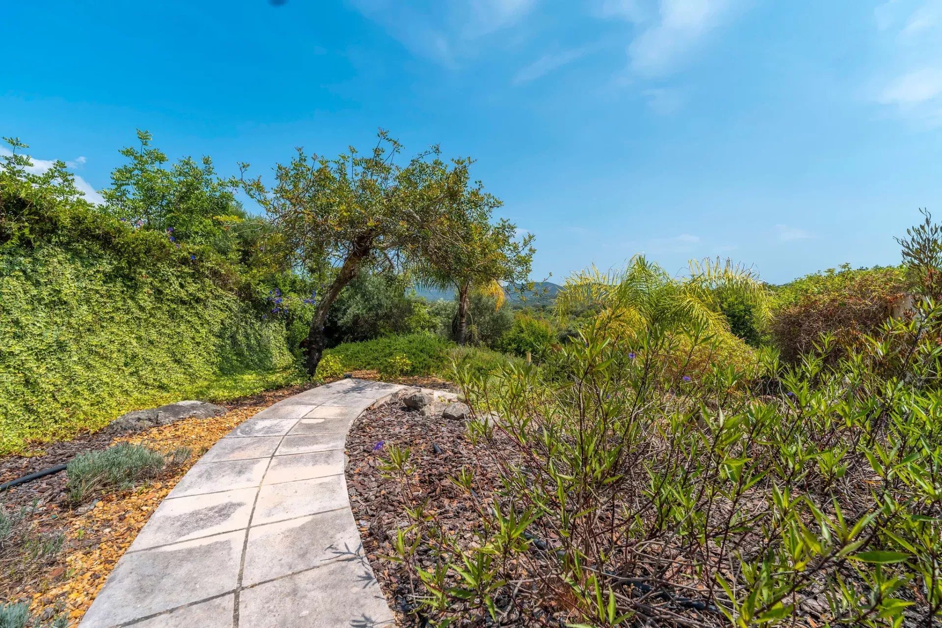 Four bedroom villa with open views and pool in São Bras de Alportel, Algarve