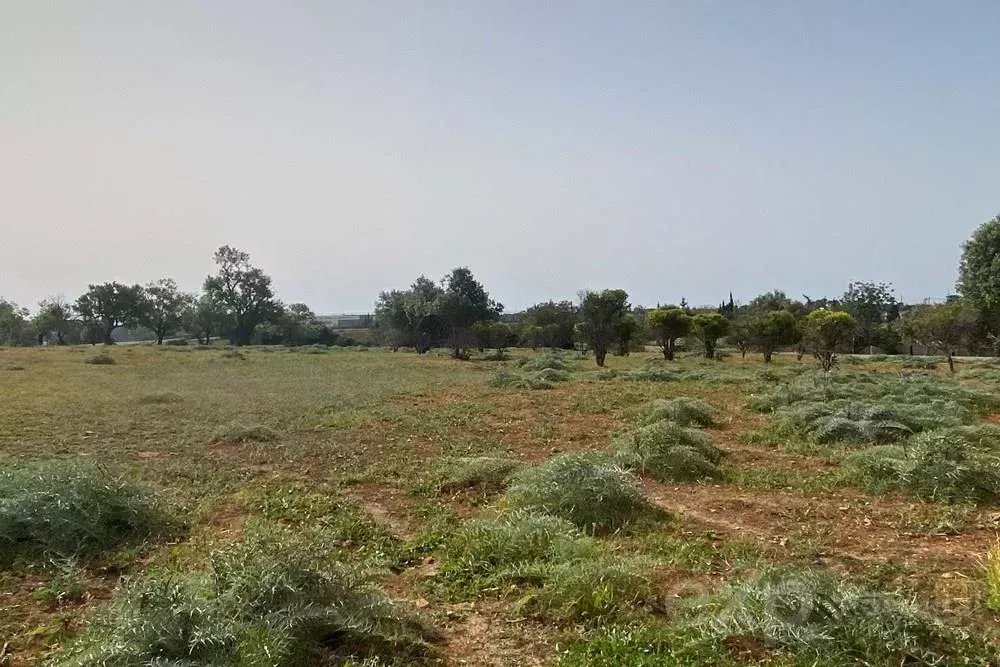 Terreno rústico em Quelfes, Algarve