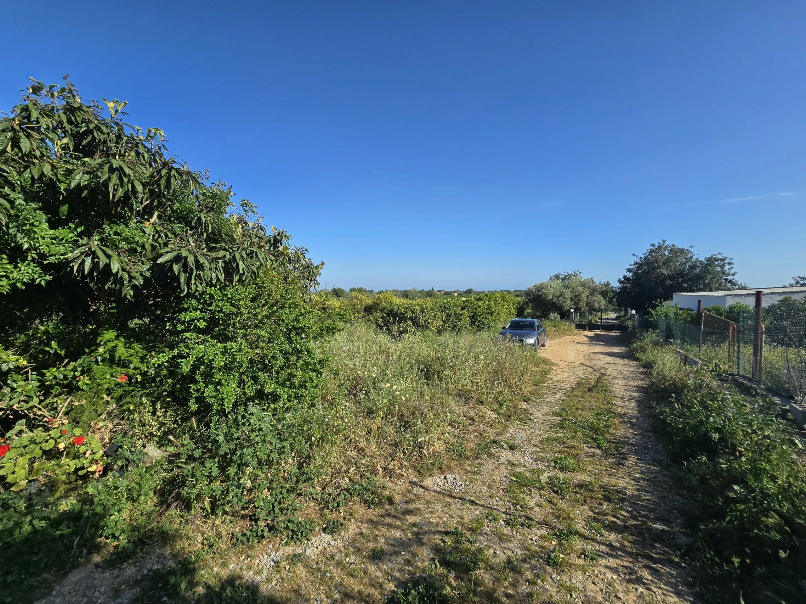 6 room Farmhouse with 1.5 hectares of land and sea view