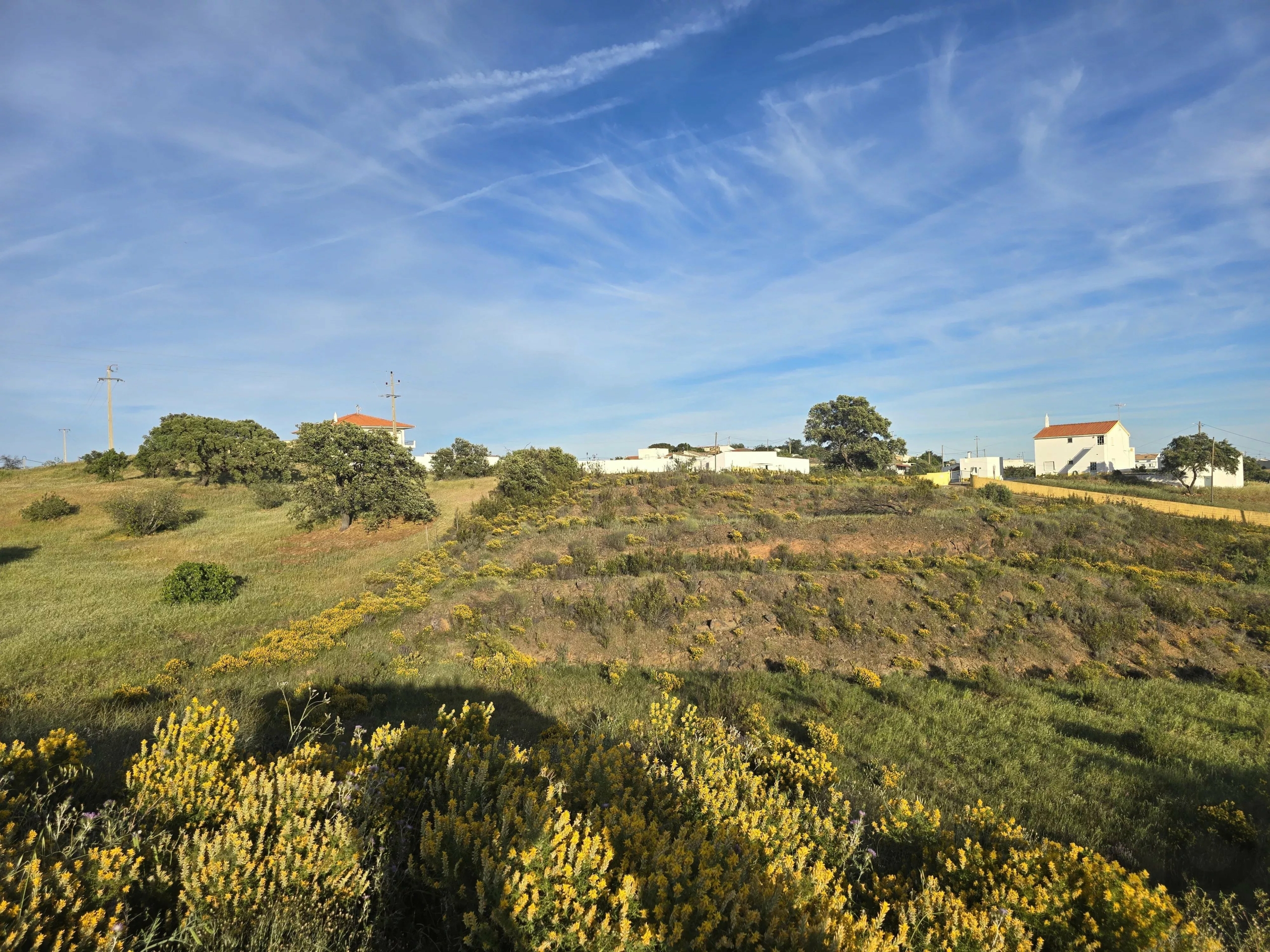 Rustic land Corte Antonio Martins with one hectare