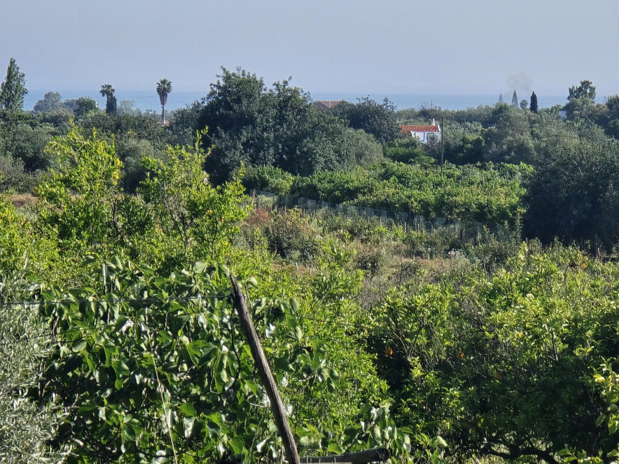6 room Farmhouse with 1.5 hectares of land and sea view