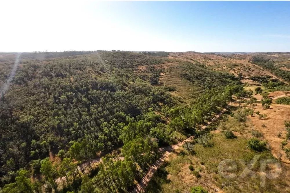 Außergewöhnliches Landgut von 65 ha im Alentejo mit touristischem Entwicklungspotenzial