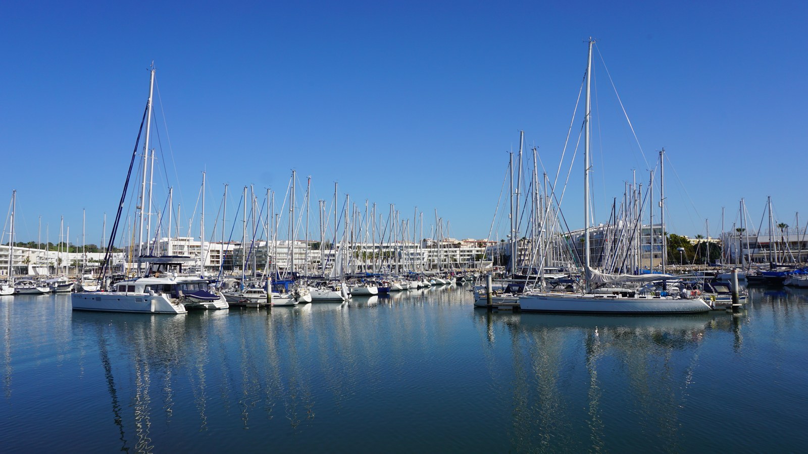 Yachts moored in Marina de Lagos on a clear day, with the apartment blocks and town of Lagos, Portugal behind