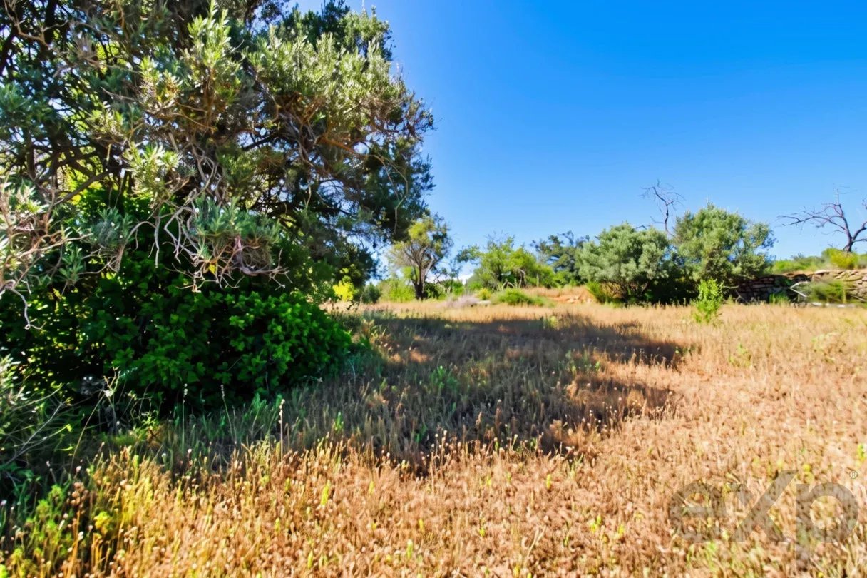 Rustic land of 5080 m2 for sale in Estoi, Faro