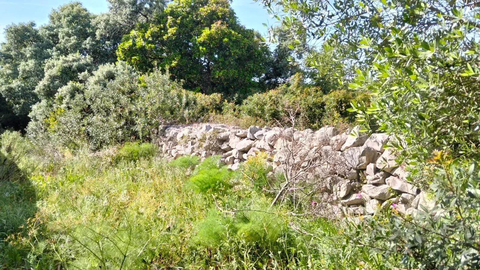 1560 m² Non-Constructible Land in Santa Bárbara de Nexe