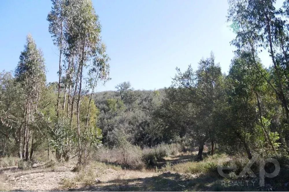 Außergewöhnliches Landgut von 65 ha im Alentejo mit touristischem Entwicklungspotenzial