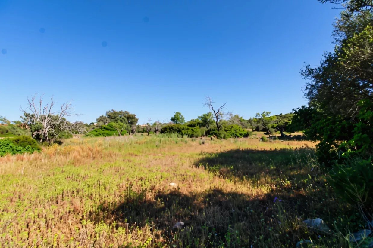 Two rustic flat plots of land, sold together, with 7120 m2