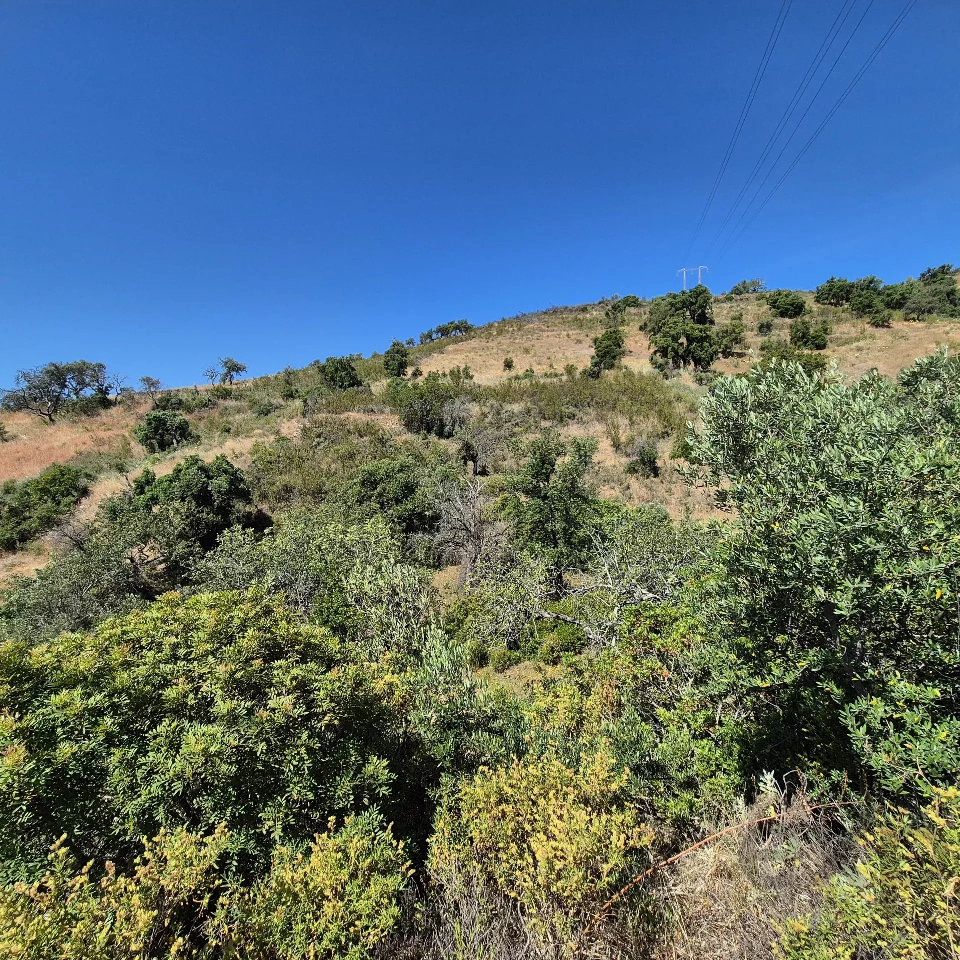 Rustic land in Montes e Lagares