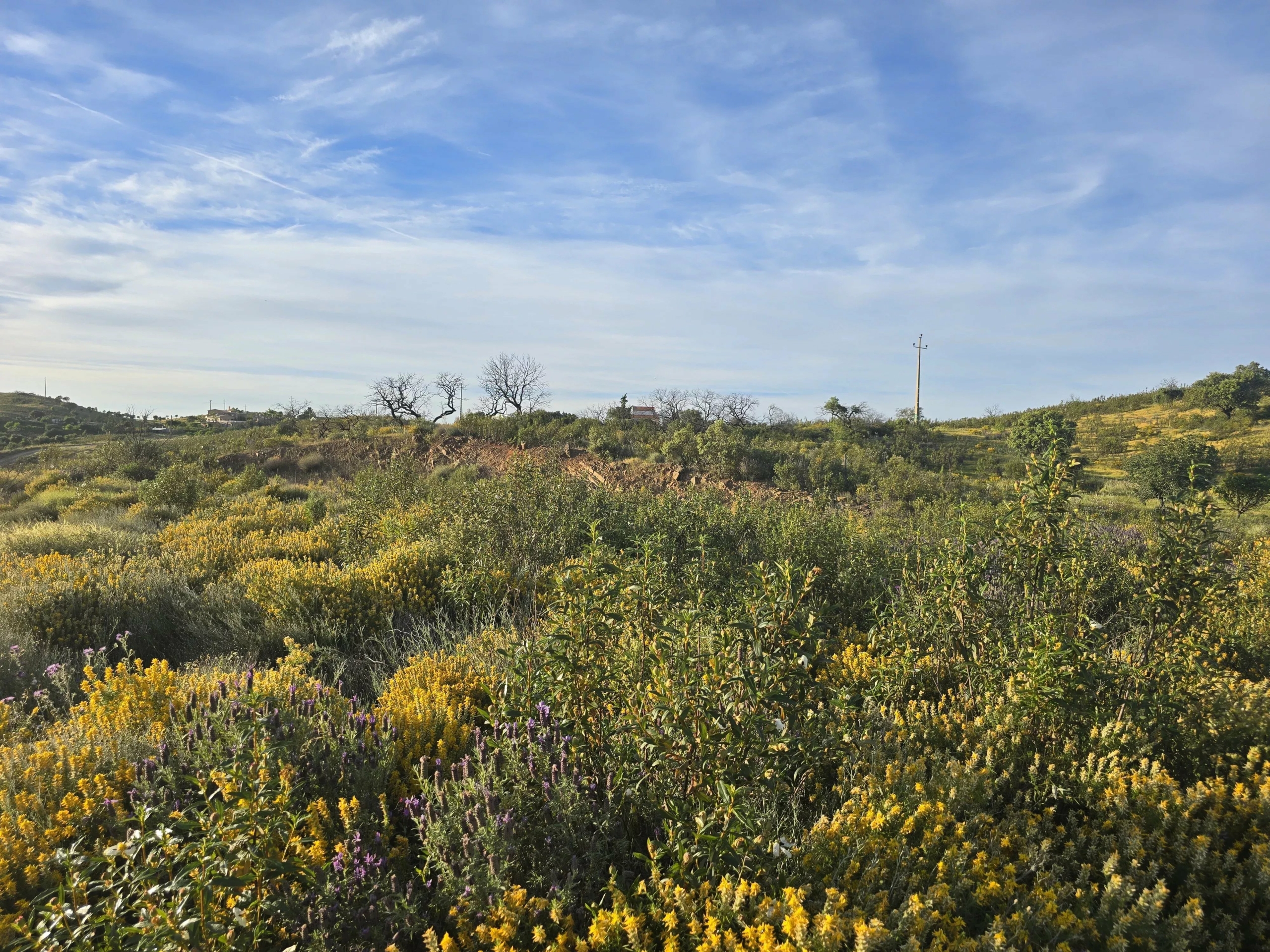 Rustic land Corte Antonio Martins with one hectare