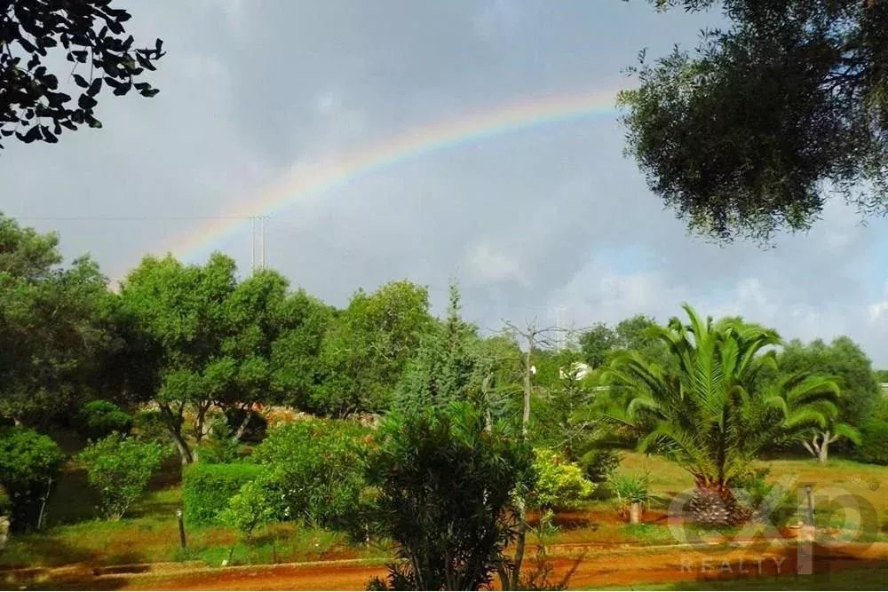 Farm for sale in Santa Margarida