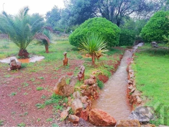 Farm for sale in Santa Margarida
